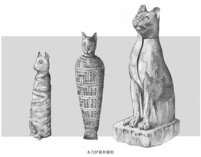 木乃伊猫和猫棺