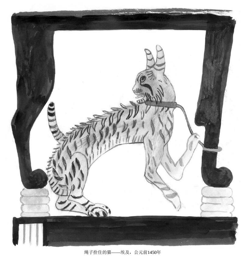 绳子拴住的猫——埃及，公元前1450年